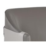 Carter Lounge Chair - Napa Taupe / Napa Stone 106725 106725 CARTER LOUNGE CHAIR NAPA TAUPE NAPA STONE 7