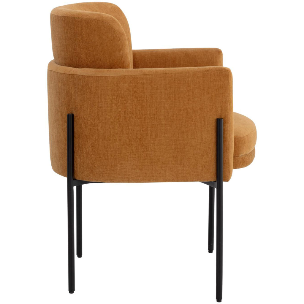 Richie Dining Armchair - Black - Danny Amber - Image 3