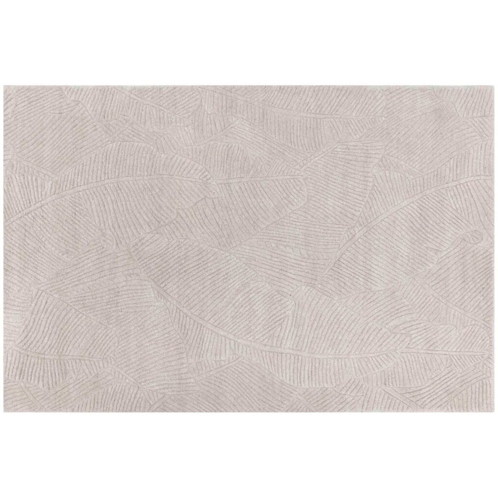 Calathea Hand-Tufted Rug - Oatmeal - 6' X 9'