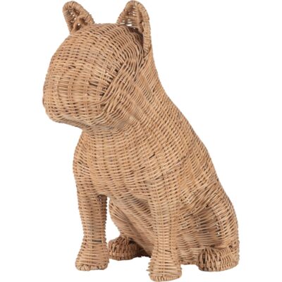 Prince French Bulldog