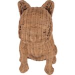 Prince French Bulldog 370616 370616 F