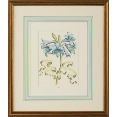 Bl Floral W/Ribbon-C