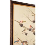 The Aviary 6 The Aviary 380264 380264 C