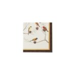 Small Aviary - B 380274 380274 B