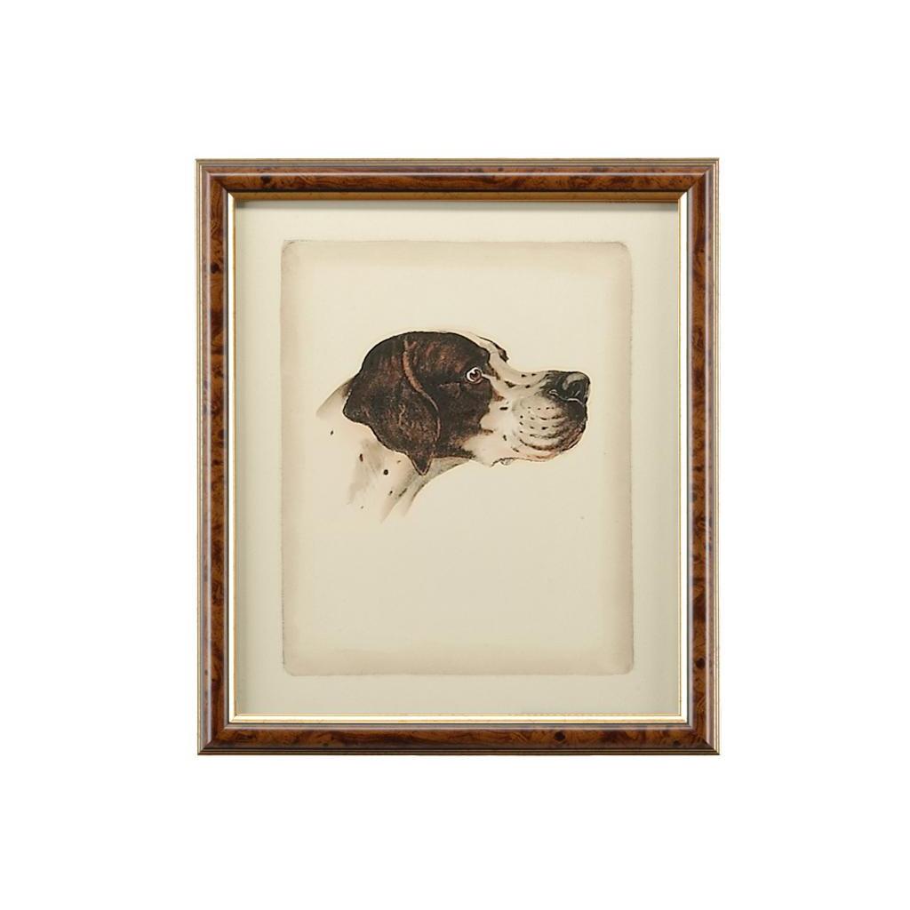 Danchin Pointer 4 Danchin Pointer - Image 4