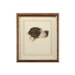 Danchin Cocker Spaniel 380360 380360 D