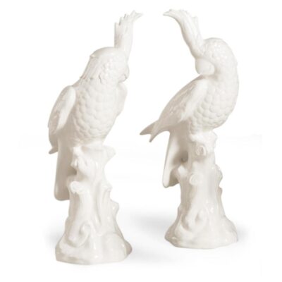 Large Parrots - White (Pr)