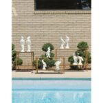 Cockatoos (Pr) 382631 382631 D