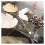 Bird And Shell Tray 5 Bird And Shell Tray 384443 384443 C