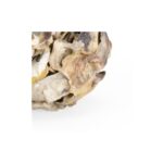 Oyster Shell Candleholder (Pr) 4 Oyster Shell Candleholder (Pr) 384571 384571 B