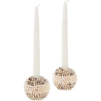 Nassa Shell Candleholder (Pr)