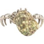 Hermit Crab Paperweight 385854 385854 D