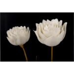 Porcelain Flower Black - C 5 Porcelain Flower Black - C 385972 385972 C