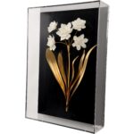 Porcelain Flower Black - D 7 Porcelain Flower Black - D 385973 385973 C