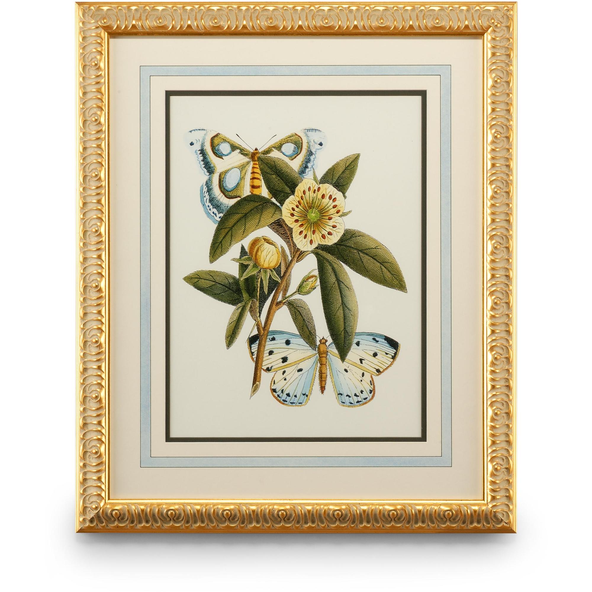 Butterfly Oasis I 1 Butterfly Oasis I