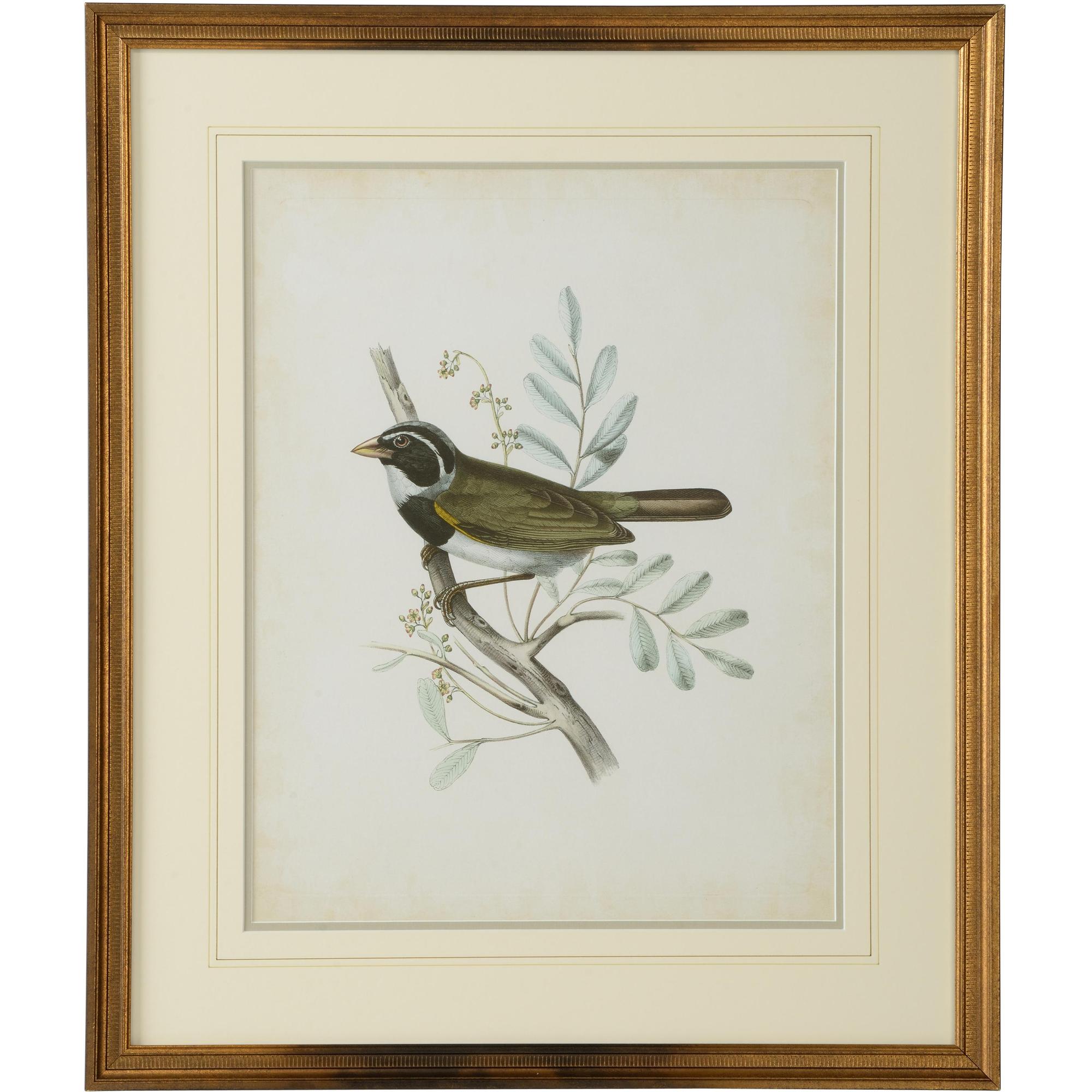 Delicate Birds VI 1 Delicate Birds VI