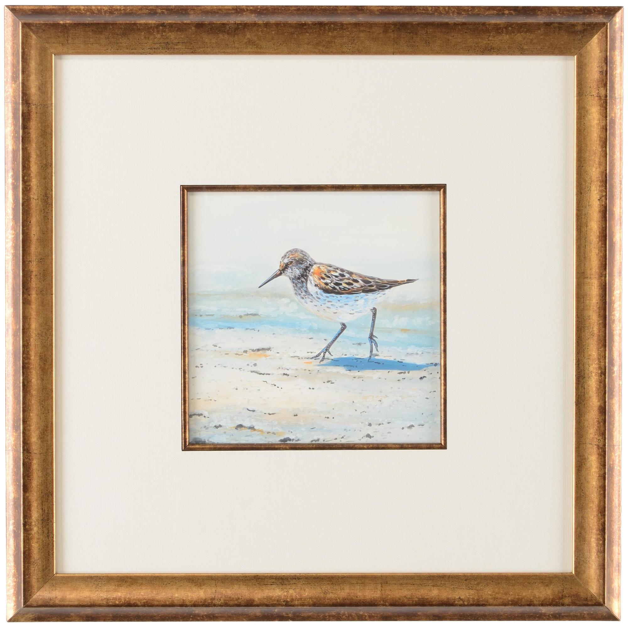 Sand Piper II 1 Sand Piper II