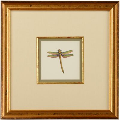 Miniature Dragonfly I