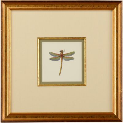 Miniature Dragonfly II