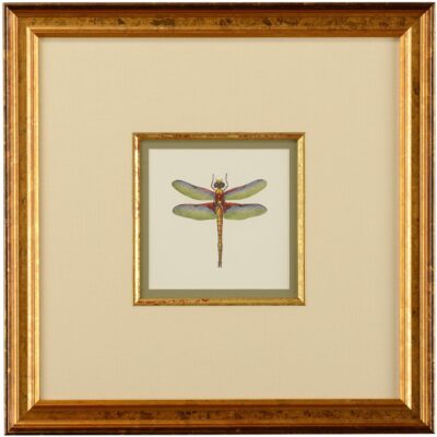 Miniature Dragonfly IV