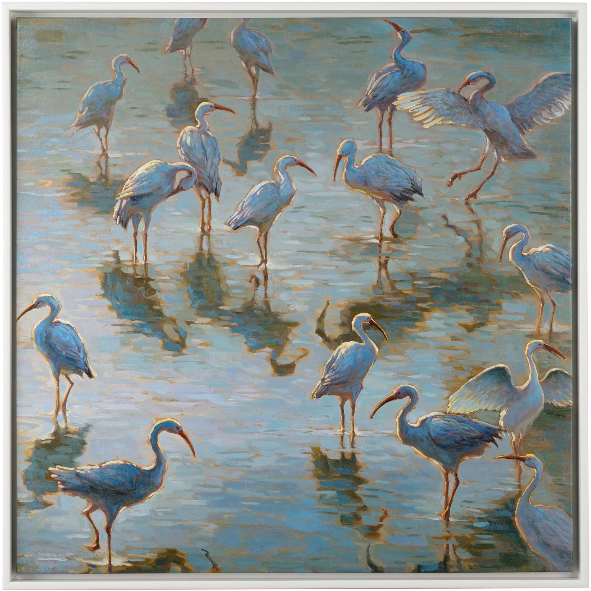 Shorebirds 1 Shorebirds