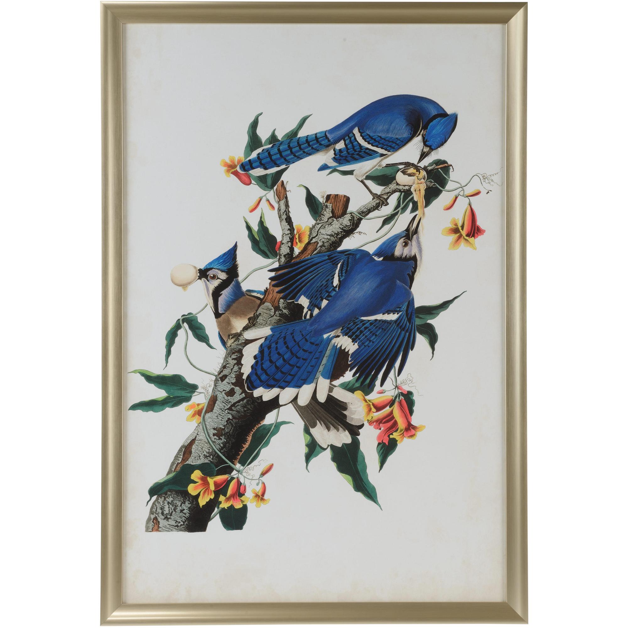 Audubon Blue Jay I 1 Audubon Blue Jay I