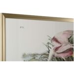 Roseate Spoonbill 3 Roseate Spoonbill 387199 387199 B