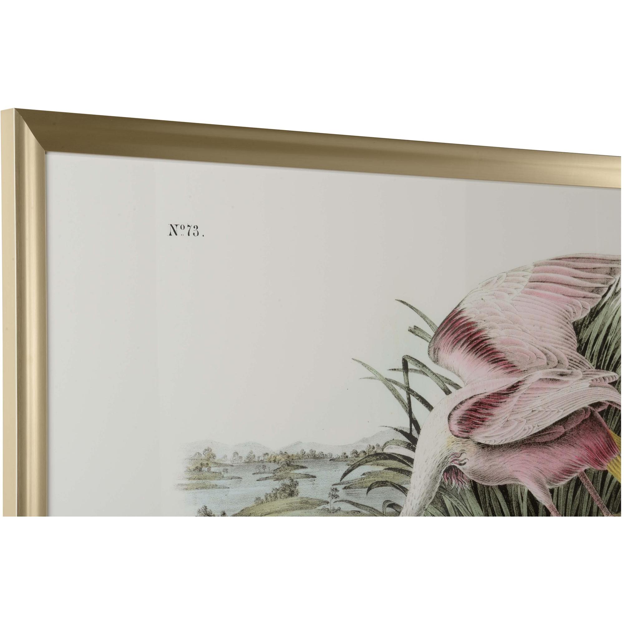 Roseate Spoonbill 2 Roseate Spoonbill - Image 2