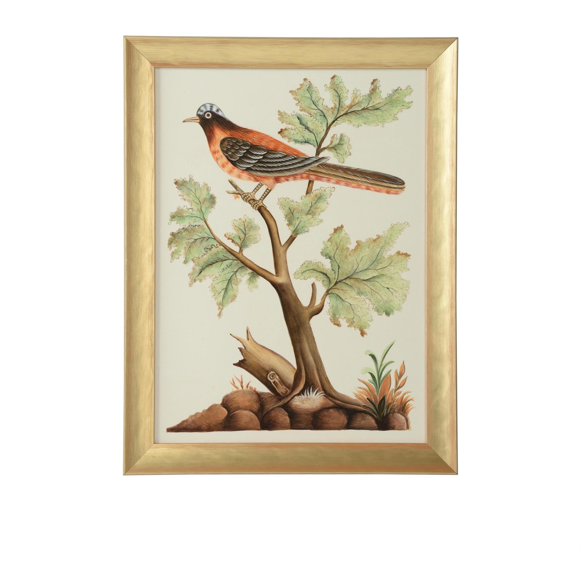 Watercolor Birds F 1 Watercolor Birds F