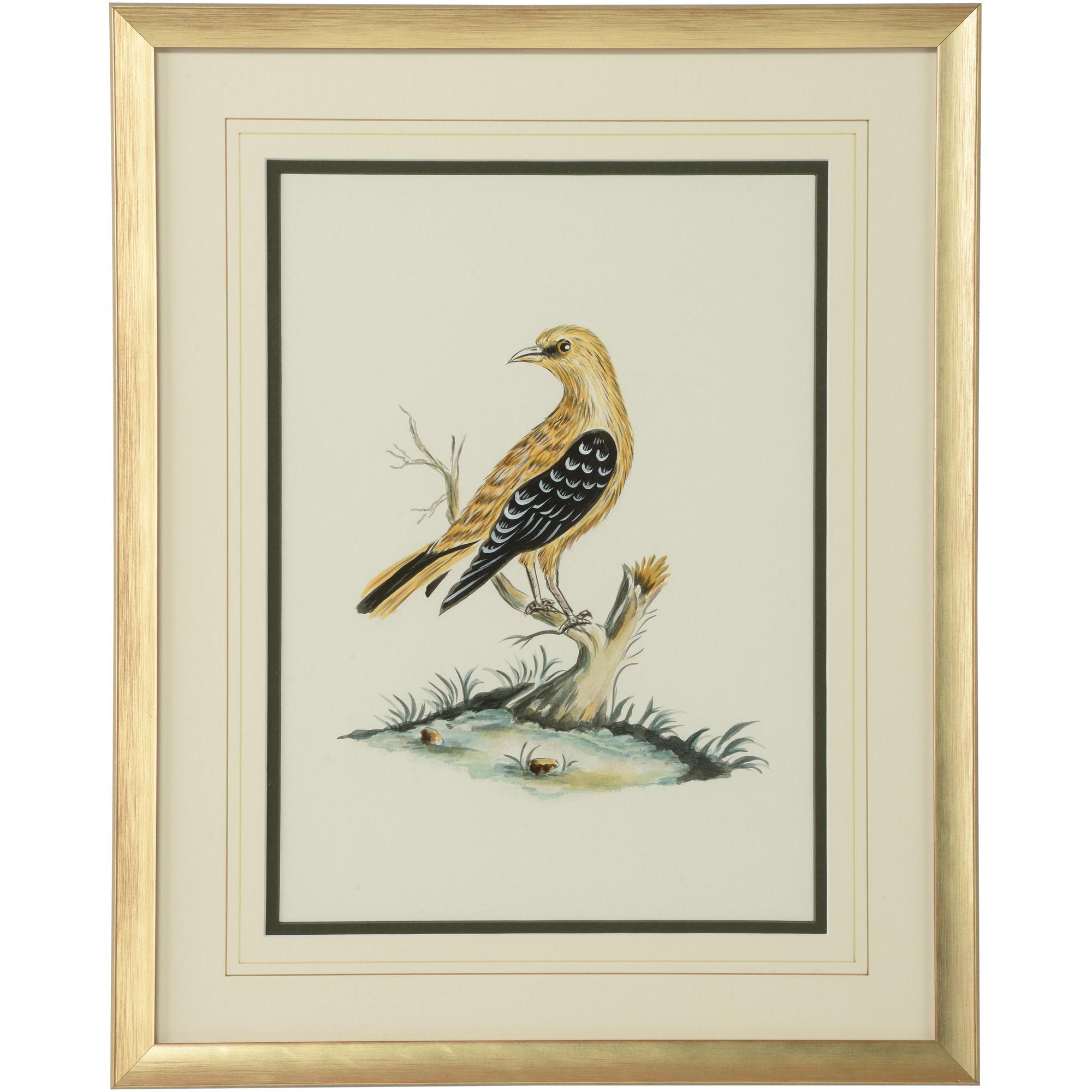 Cain Birds A 1 Cain Birds A