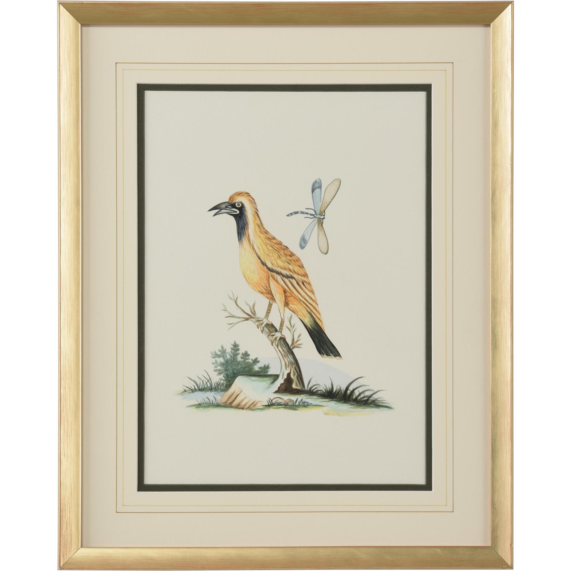 Cain Birds B 1 Cain Birds B