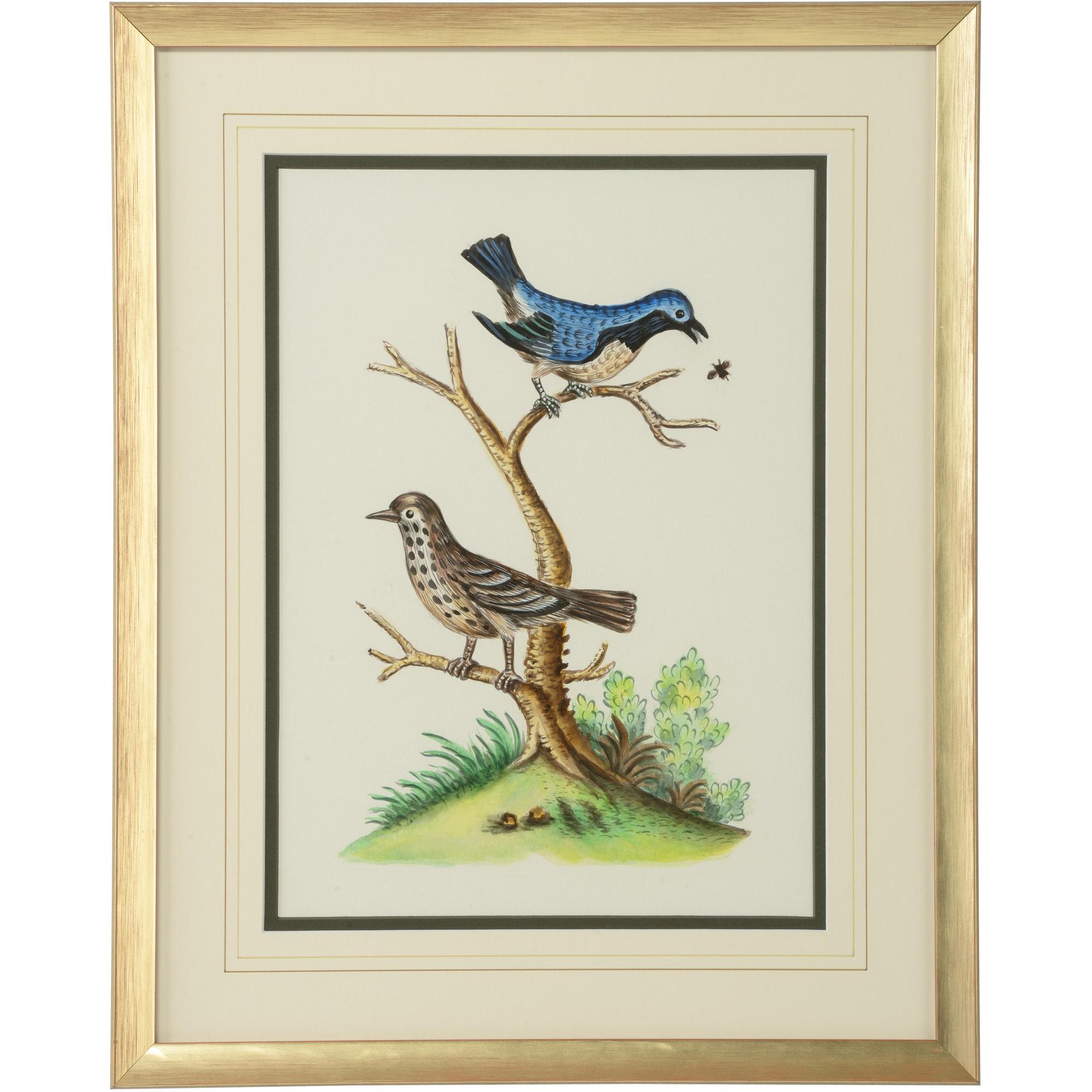 Cain Birds E 1 Cain Birds E