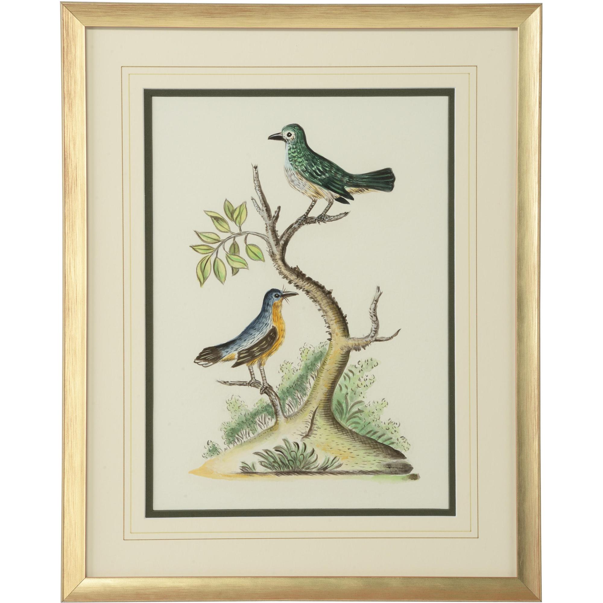 Cain Birds F 1 Cain Birds F