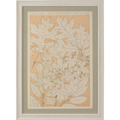 Leaves From Nature No.4