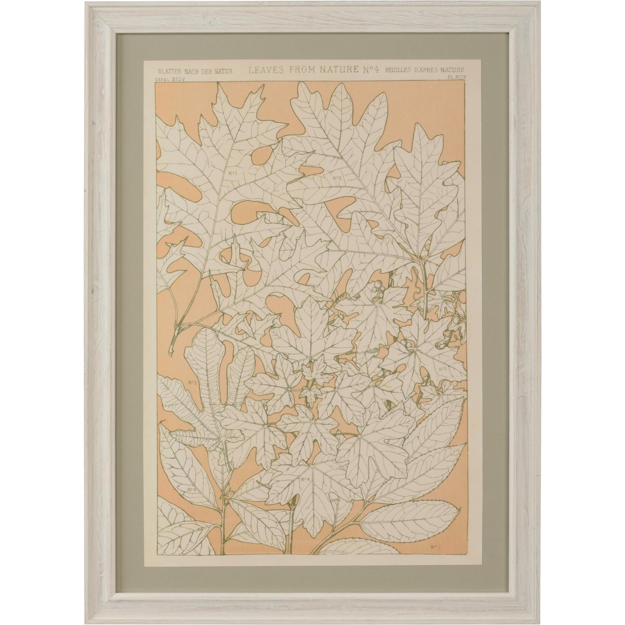 Leaves From Nature No.4 1 Leaves From Nature No.4