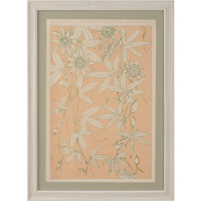 Leaves From Nature No.10