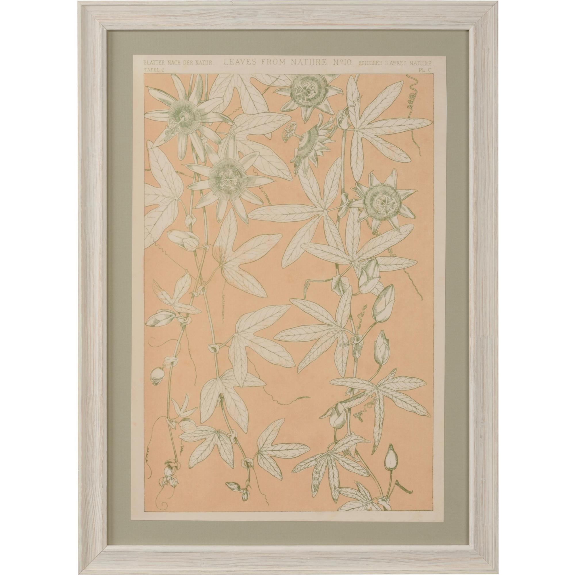 Leaves From Nature No.10 1 Leaves From Nature No.10