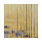 Spring Lake 3 Spring Lake 395123 395123 B