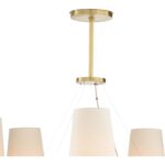 Zuri Chandelier 67496 67496 D