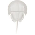 Horseshoe Crab Sconce - White 70216 70216 B