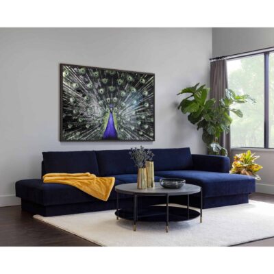 Brilliant Plumage - 72" X 48" - Charcoal Frame A0265 A0265 BRILLIANT PLUMAGE 10