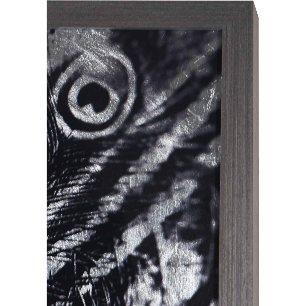 Silver Plumage - 72" X 48" - Charcoal Frame - Image 2