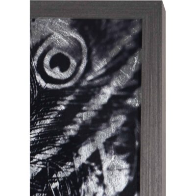 Silver Plumage - 72" X 48" - Charcoal Frame A0266 A0266 SILVER PLUMAGE 6