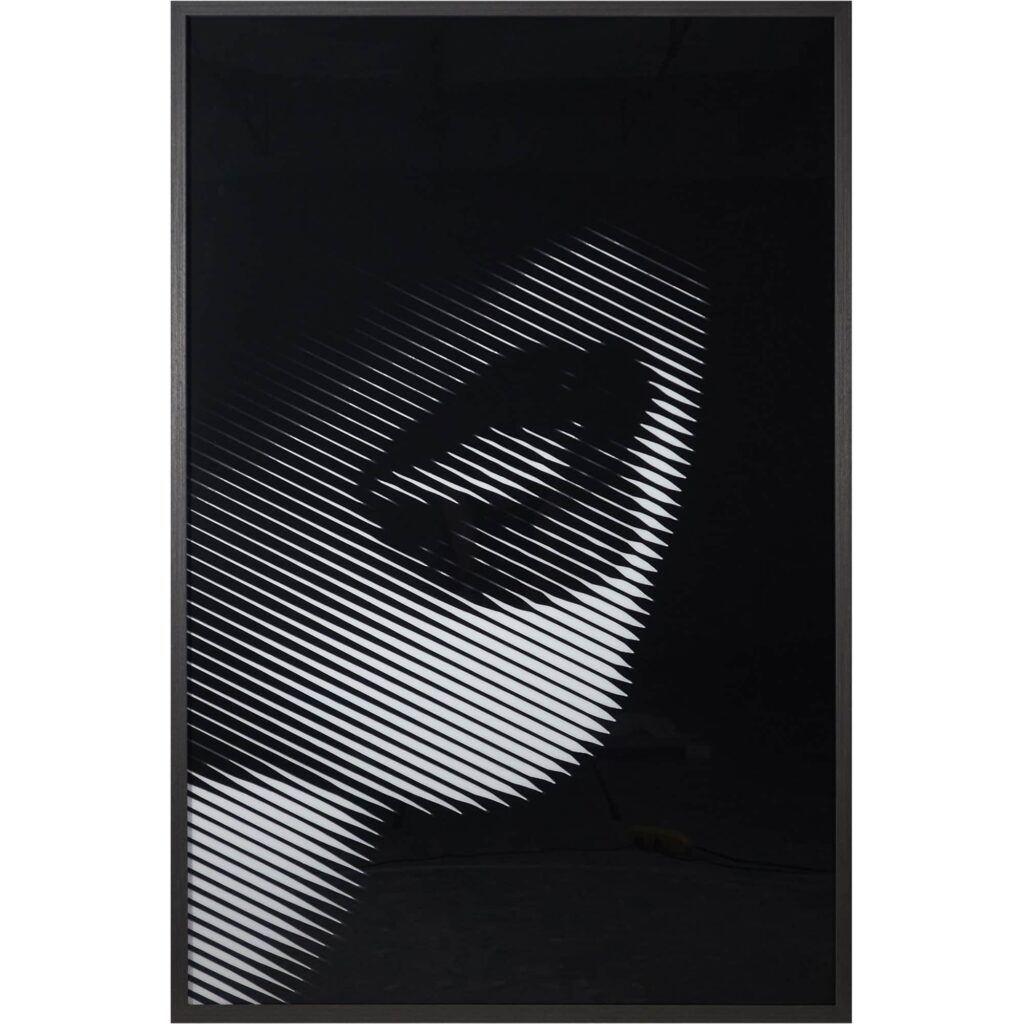 Stage Fright - 40" X 60" - Charcoal Frame