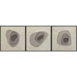Zen Garden (Set Of 3) - 30" X 30" - Black Floater Frame