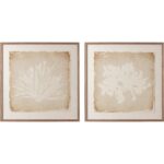 Aquatic Flora I - 40" X 40" - Medium Brown Frame - Image 2
