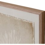Aquatic Flora I - 40" X 40" - Medium Brown Frame - Image 3