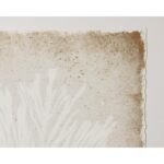 Aquatic Flora I - 40" X 40" - Medium Brown Frame - Image 4