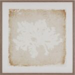 Aquatic Flora Ii - 40" X 40" - Medium Brown Frame
