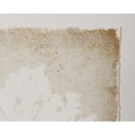 Aquatic Flora Ii - 40" X 40" - Medium Brown Frame - Image 4